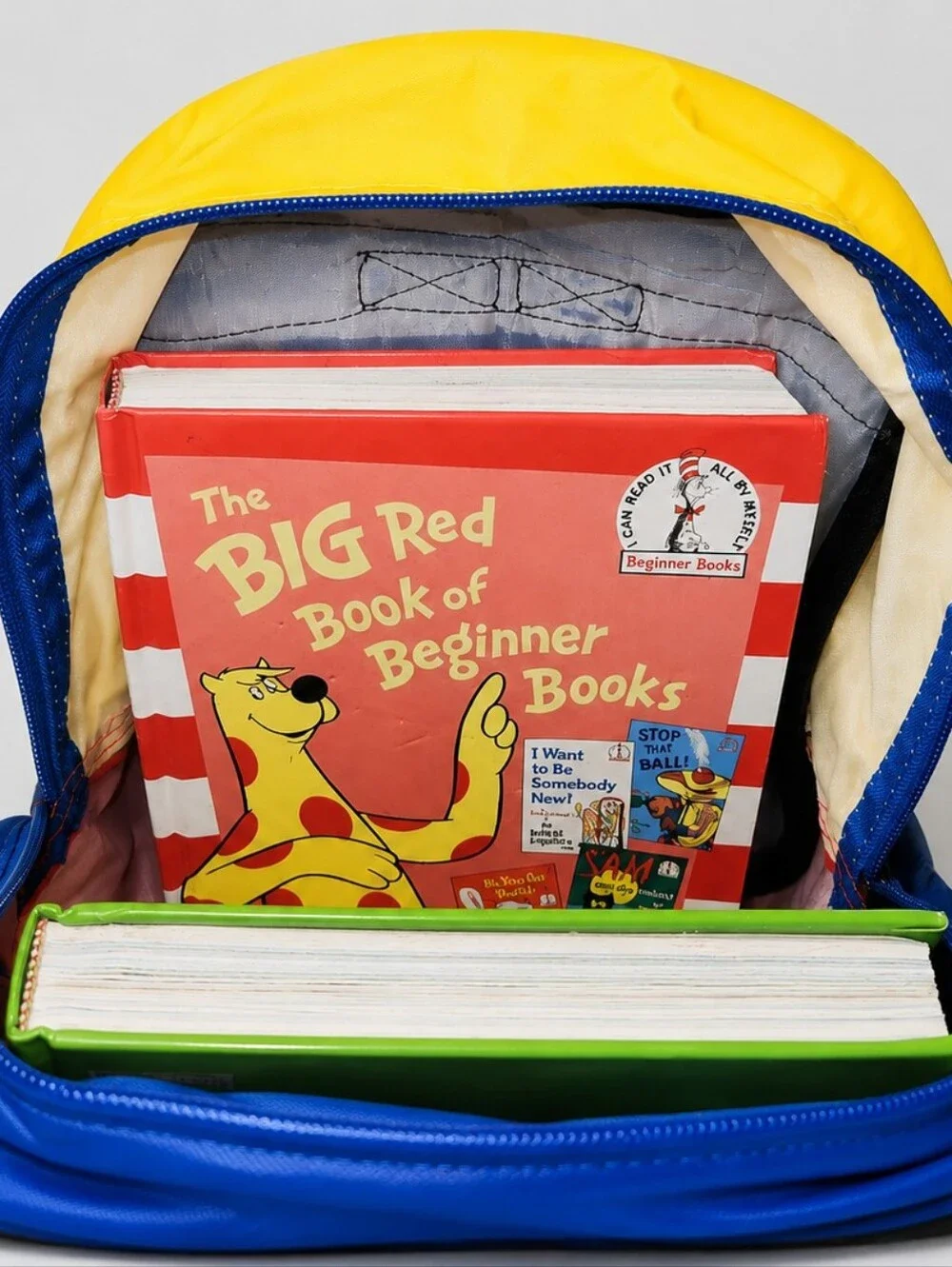 Dr. Seuss & His Friends Vintage Backpack – 1997 EUC